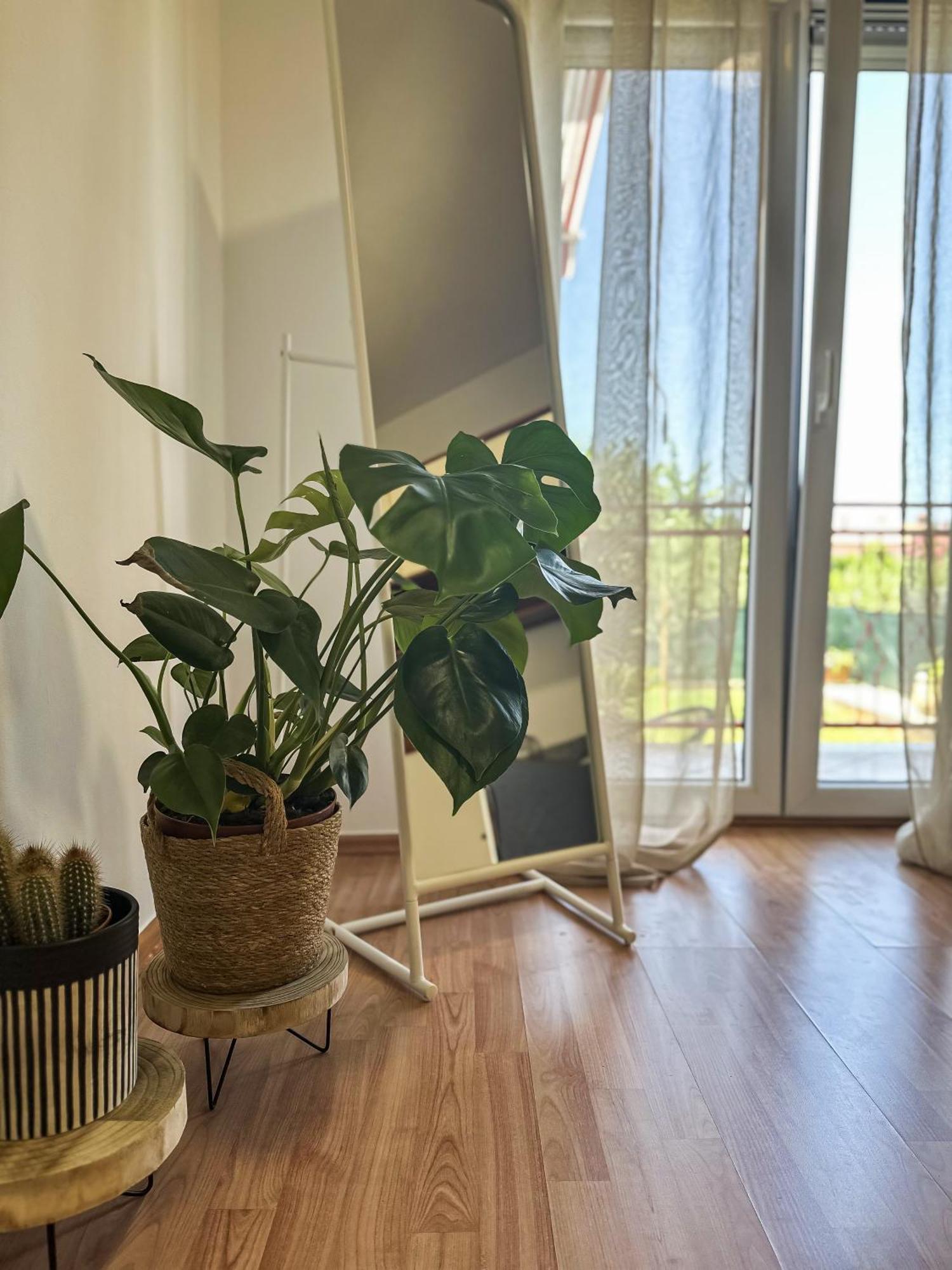 Apartments Dent ウマグ エクステリア 写真